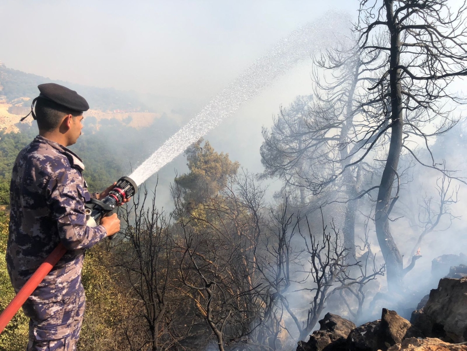 الدفاع المدني يخمد حريق اعشاب جافه واشجار حرجية في محافظة عجلون  
