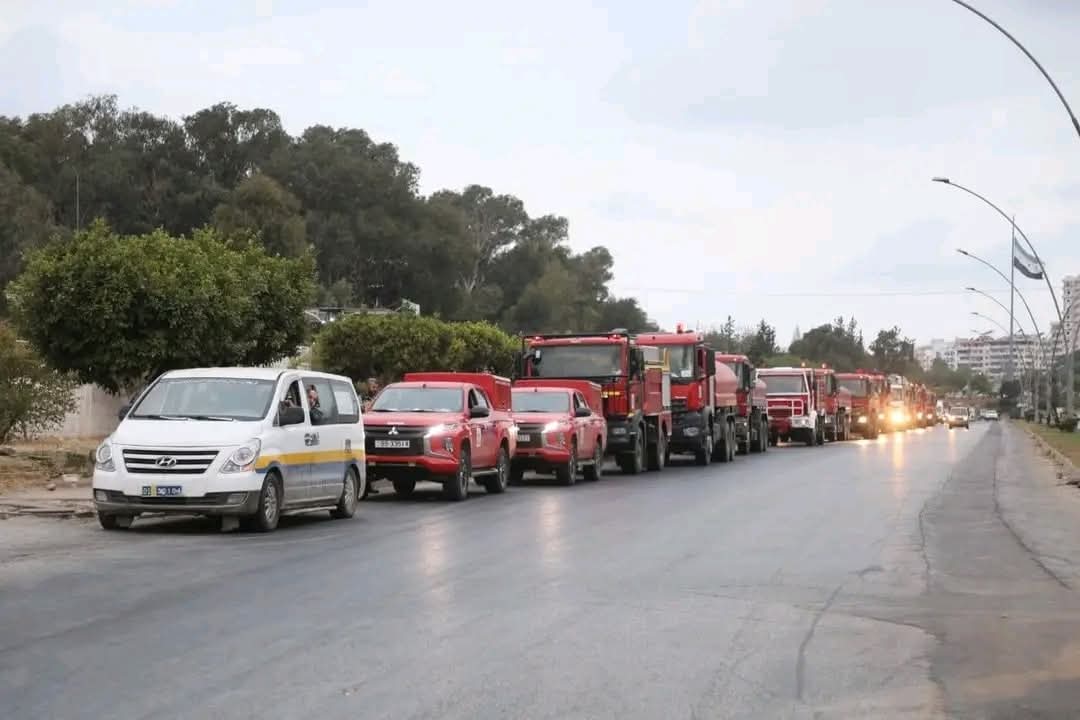 أردنيون يطالبون باستقبال مهيب لكوادر الدفاع المدني بعد جهودهم البطولية في إخماد حرائق اللاذقية