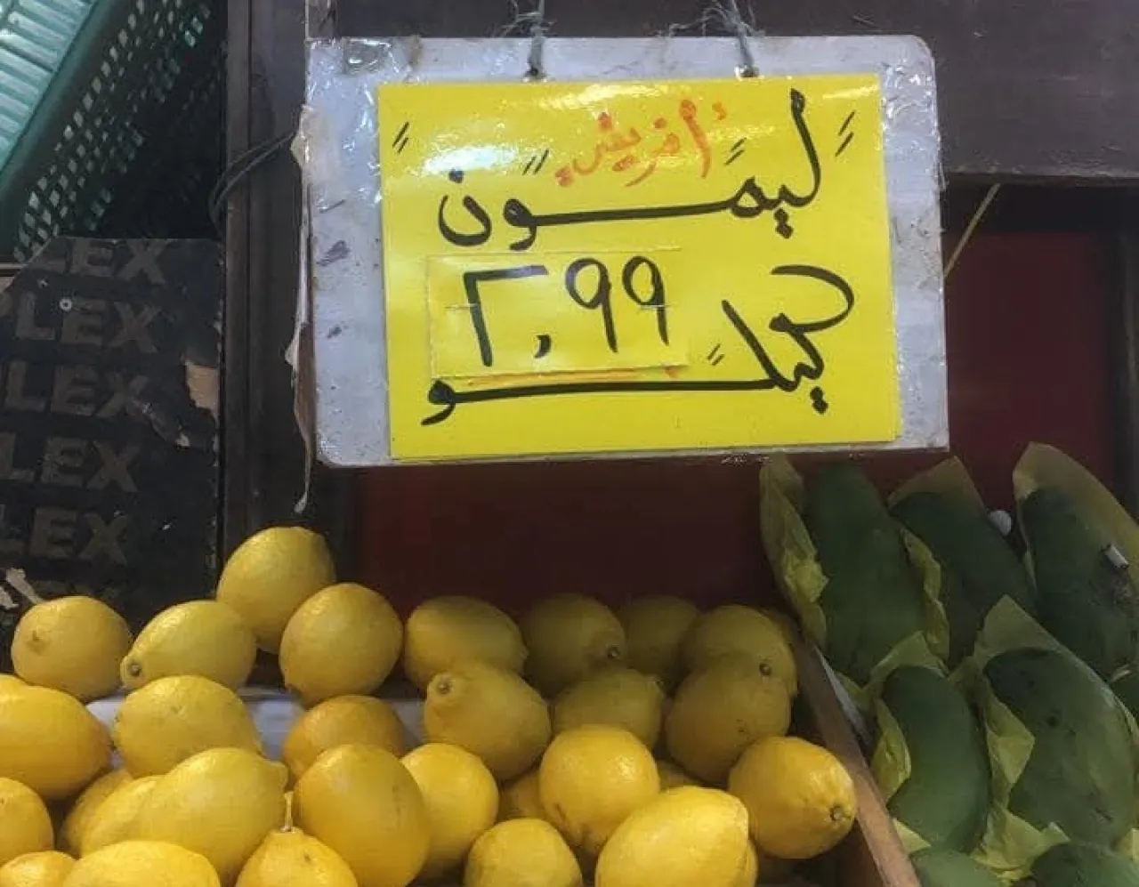 الغزاوي يوضح ارتفاع اسعار الليمون في الأردن