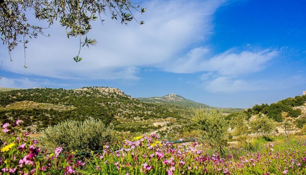 الاثنين .. درجات الحرارة أعلى من المعدل بـ 5-6 درجات