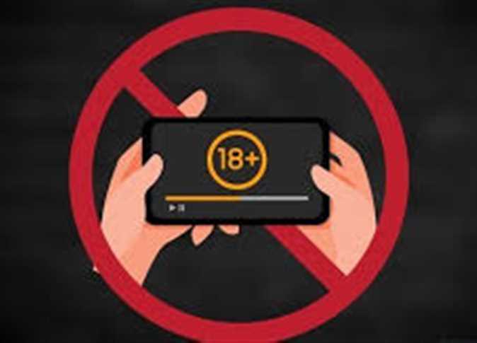 نائب يطالب بفلترة المواقع الإباحية (تفاصيل) 