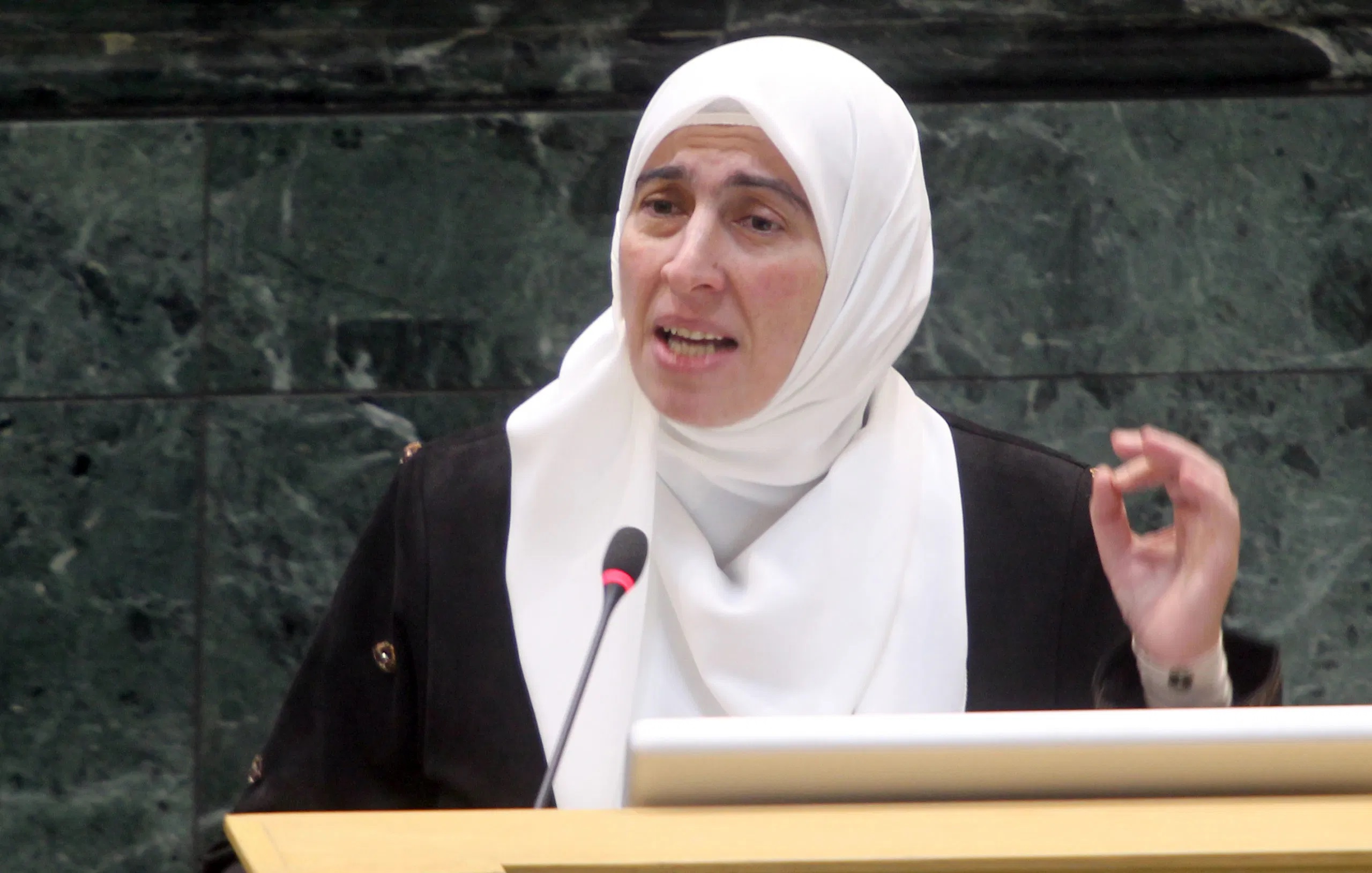 طهبوب: تعديلات الضمان اعتداء على حقوق الأردنيين (تفاصيل)