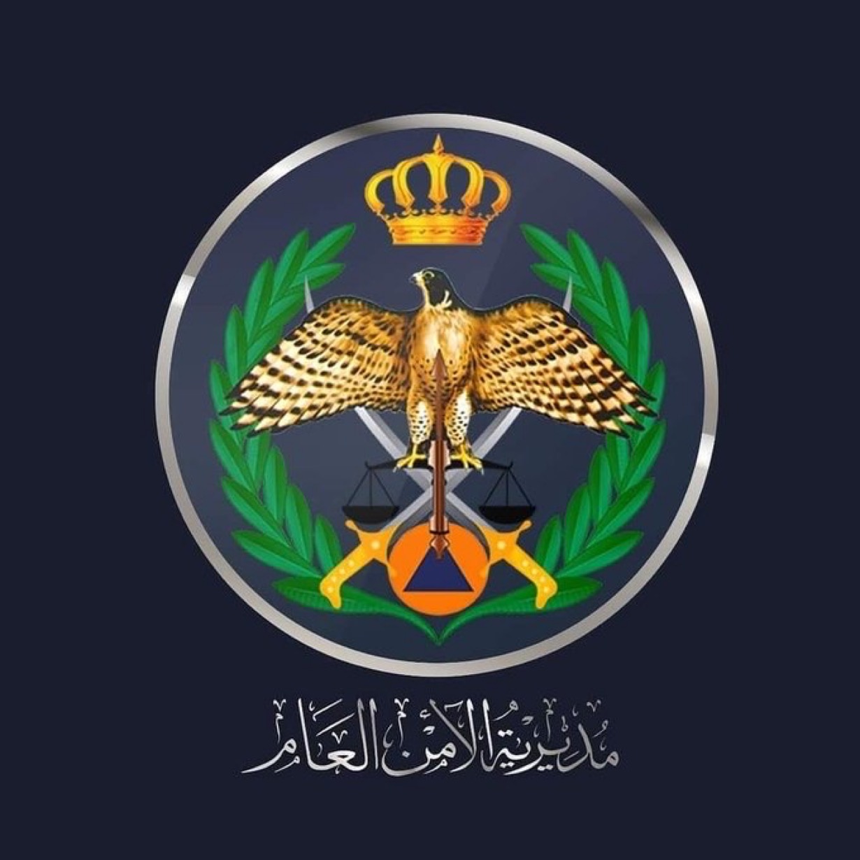  إلقاء القبض على المعتدي على الشخص من ذوي الإعاقة داخل مقبرة في إربد