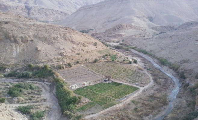 نائب يطالب بمحاسبة المقصرين في ملف مزارع البربيطة (تفاصيل) 