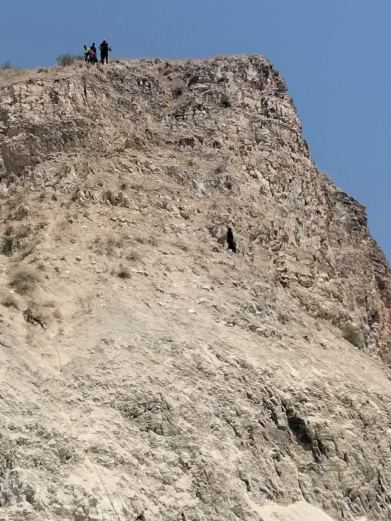 الدفاع المدني ينقذ شخصاً عَلِقَ أعلى مقطع صخري بمحافظة اربد