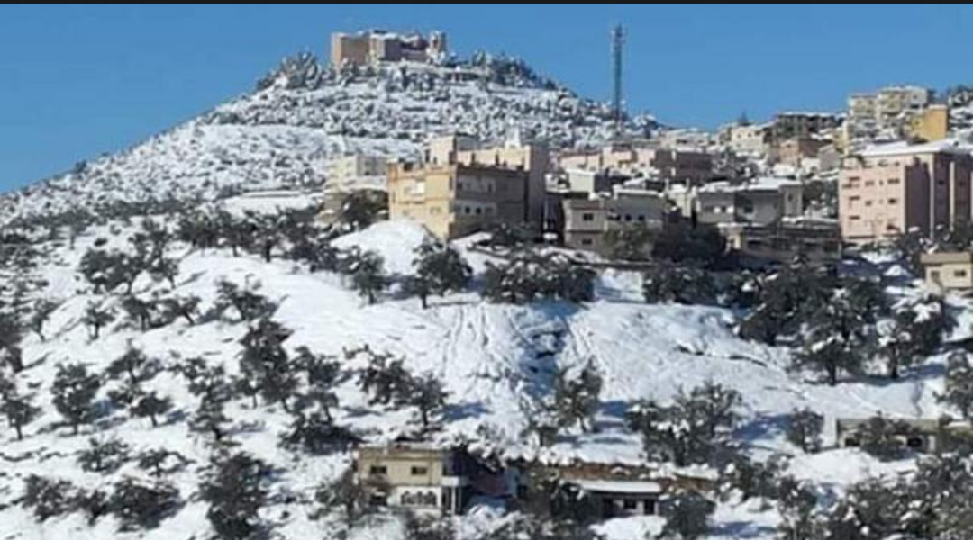 عجلون تشهد أول هطول لزخات ثلجية هذا العام