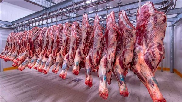 الحكومة تكشف أسباب ارتفاع أسعار اللحوم الجنوني